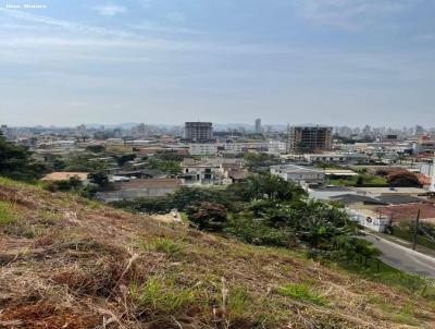 Terreno para Venda, em Itaja, bairro Ressacada