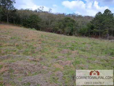 Terreno para Venda, em Piedade, bairro Ortizes