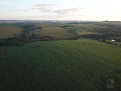 Fazenda para Venda, em Piracanjuba, bairro Piracanjuba