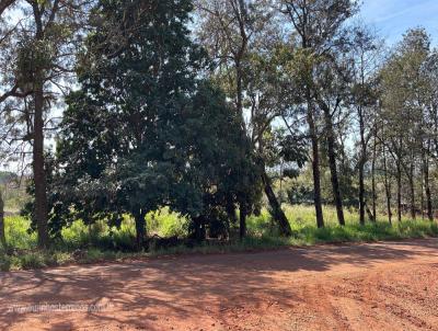 Chcara para Venda, em Ourinhos, bairro Estrada estncia gua viva