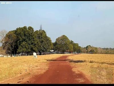 Fazenda para Venda, em Patos de Minas, bairro Morada da Serra