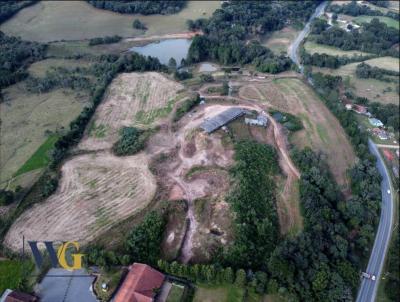 rea Industrial para Venda, em Campo Largo, bairro Campo do Meio