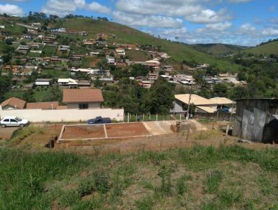 Terreno para Venda, em Juiz de Fora, bairro BARREIRA