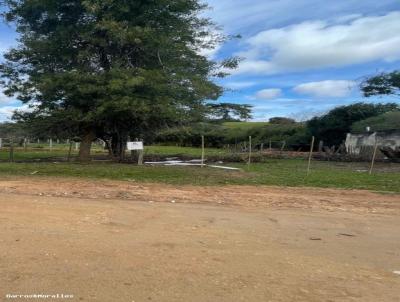 Terreno para Venda, em Bag, bairro Popular