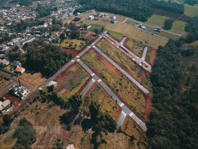 Terreno para Venda, em Pato Branco, bairro Pinheiros