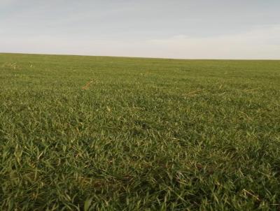 rea Rural para Venda, em Manoel Viana, bairro 