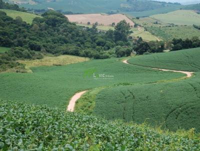 Fazenda para Venda, em , bairro Boa Vista