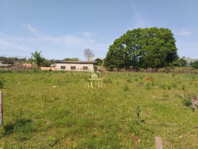 Terreno para Venda, em Santa Rosa, bairro Cruzeiro