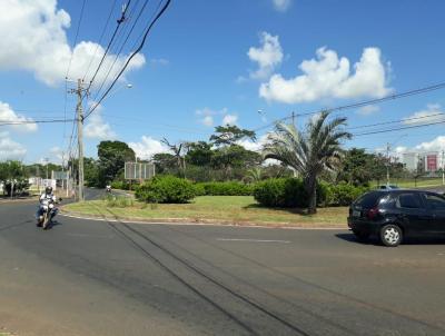 rea para Venda, em So Jos do Rio Preto, bairro Centenrio da Emancipao