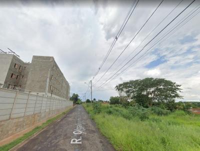 rea para Venda, em So Jos do Rio Preto, bairro manacas