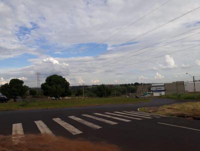 rea para Venda, em So Jos do Rio Preto, bairro COPLAN