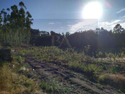 rea Rural para Venda, em Serto Santana, bairro rea rural