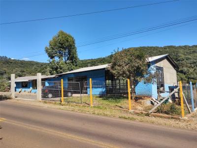 Stio / Chcara para Venda, em Santa Maria do Herval, bairro Boa Vista do Herval