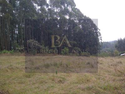 Imveis Vendidos para Venda, em Serto Santana, bairro Centro