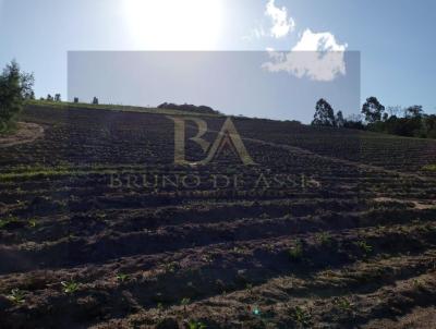 rea Rural para Venda, em Cerro Grande do Sul, bairro rea rural