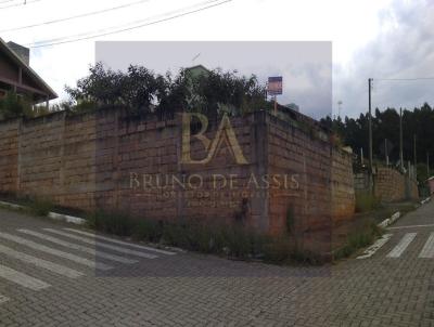 Terreno para Venda, em Serto Santana, bairro Centro