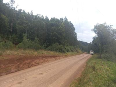 Stio / Chcara para Venda, em Morro Reuter, bairro Centro