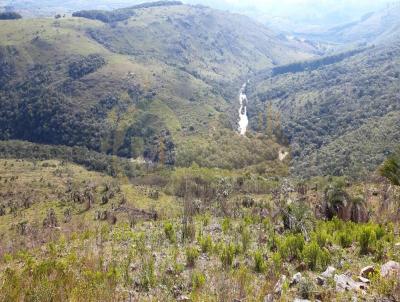 rea Rural para Venda, em Baro do Triunfo, bairro rural, 3 dormitrios