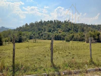 Terreno para Venda, em So Pedro, bairro Floresta Escura