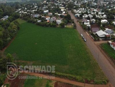 rea Rural para Venda, em Crissiumal, bairro 