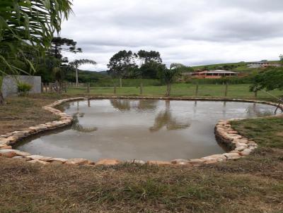 Chcara para Venda, em Itapeva, bairro Barreiro