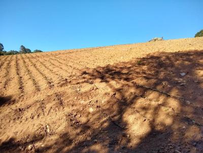 Terreno para Venda, em , bairro Serto dos Lopes