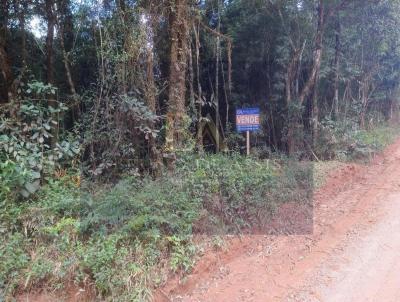 rea Rural para Venda, em Serto Santana, bairro Centro