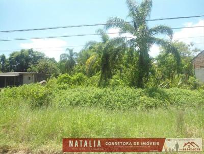 Terreno para Venda, em Itanham, bairro Umuarama