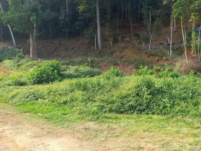 Terreno Urbano para Venda, em Barra do Pira, bairro Ipiabas