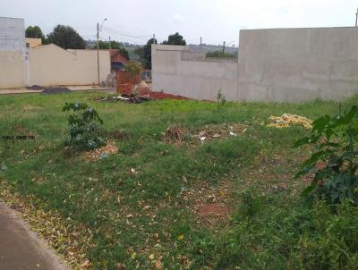 Terreno para Venda, em Araatuba, bairro Jardim Pinheiros