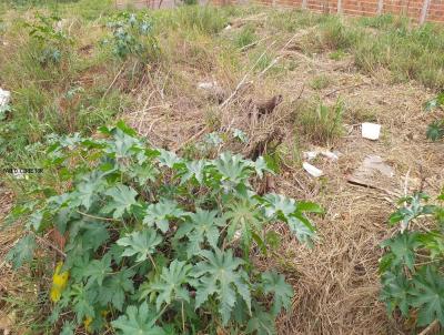 Terreno para Venda, em Araatuba, bairro jardim Umuarama