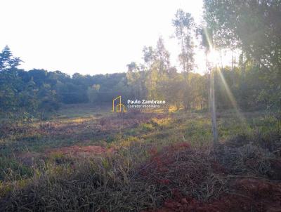 Chcara para Venda, em Martinpolis, bairro Estncia Primavera