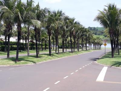 Terreno para Venda, em Jaguarina, bairro Centro