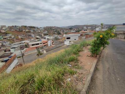 Terreno para Venda, em Visconde do Rio Branco, bairro Santa Cruz