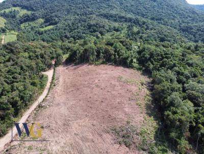 Chcara para Venda, em Campo Largo, bairro Faxina