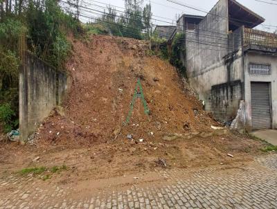 Terreno para Venda, em Ribeiro Pires, bairro Santa Luzia