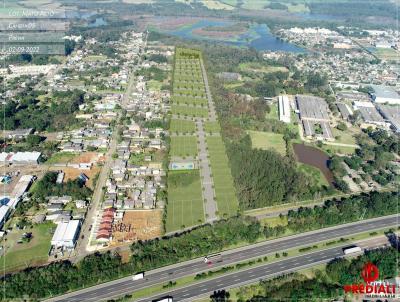 Terreno para Venda, em Gravata, bairro Mato Alto