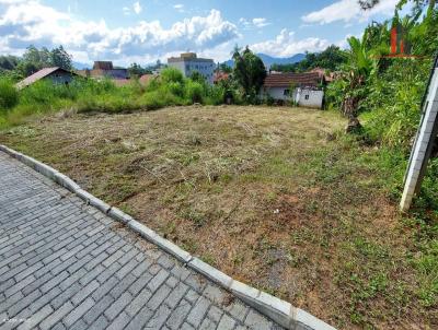 Terreno para Venda, em Timb, bairro Padre Martinho Stein