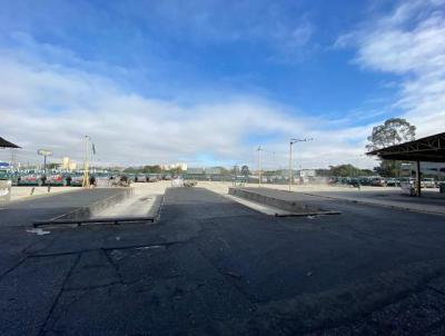 Galpo para Venda, em So Bernardo do Campo, bairro Paulicia, 15 banheiros, 99 vagas