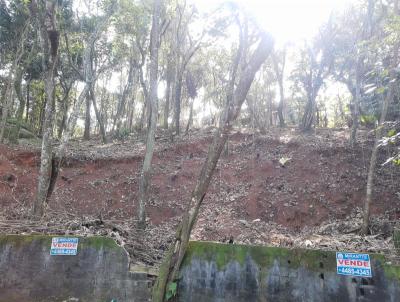 Terreno para Venda, em , bairro Tremembe