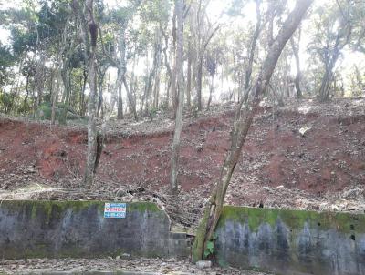 Terreno para Venda, em So Paulo, bairro Tremembe