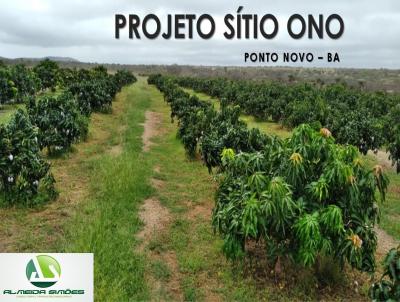 Fazenda para Venda, em Ponto Novo, bairro Ponto Novo