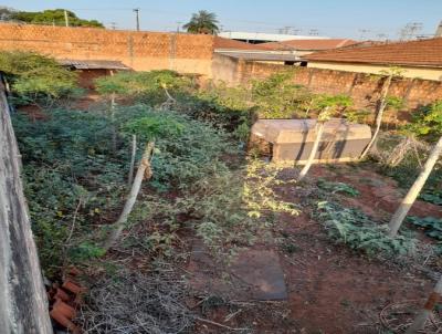 Terreno para Venda, em So Jos do Rio Preto, bairro Jardim Conceio