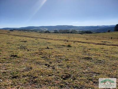 Terreno para Venda, em Munhoz, bairro -