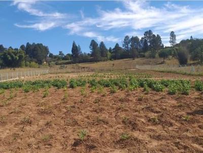 Terreno para Venda, em So Pedro, bairro Alpes das guas