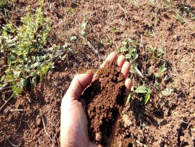 Chcara para Venda, em Santo Antnio do Leverger, bairro Agrovila das palmeiras