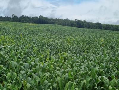 Fazenda para Venda, em Canarana, bairro Cidade Nova