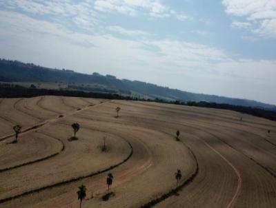 Fazenda para Venda, em Ribeiro Bonito, bairro Zona Rural