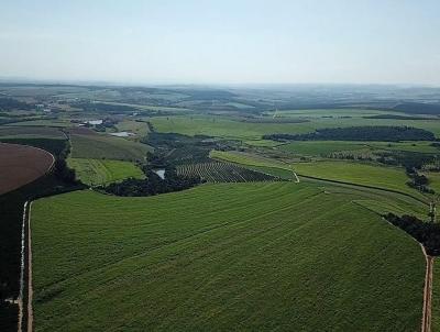 Fazenda para Venda, em Casa Branca, bairro Zona Rural