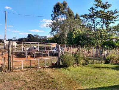 Stio / Chcara para Venda, em Tiet, bairro Jardim Bonanza, 2 dormitrios, 2 banheiros